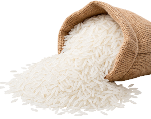 Riz blanc